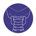 back-neck.png#asset:1791